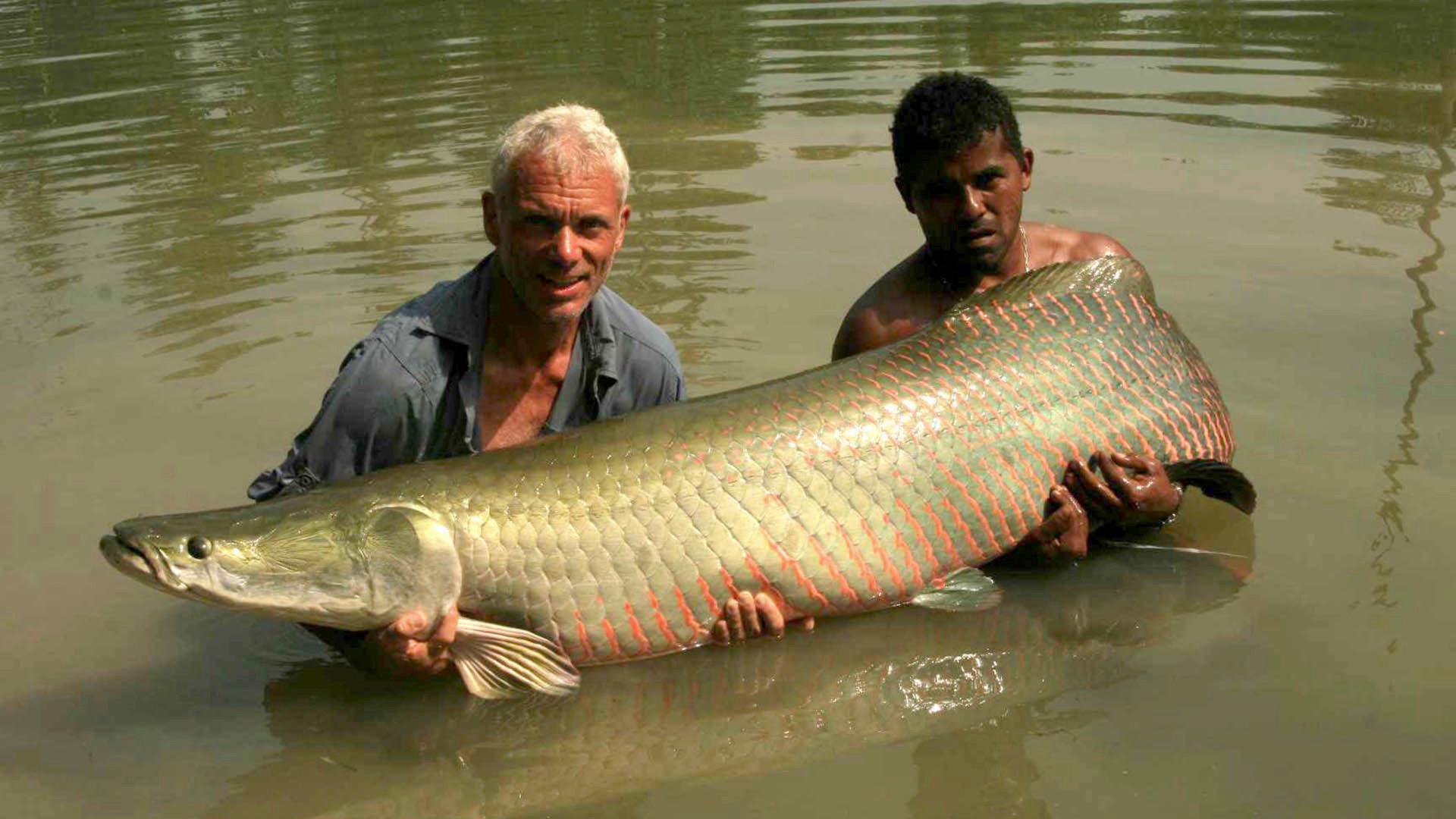 River Monsters Amazon Assassins Itv Hub