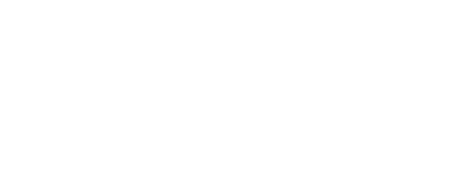 The Holiday Sitter
