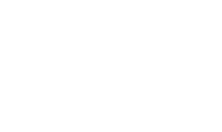 The Chase Celebrity Special