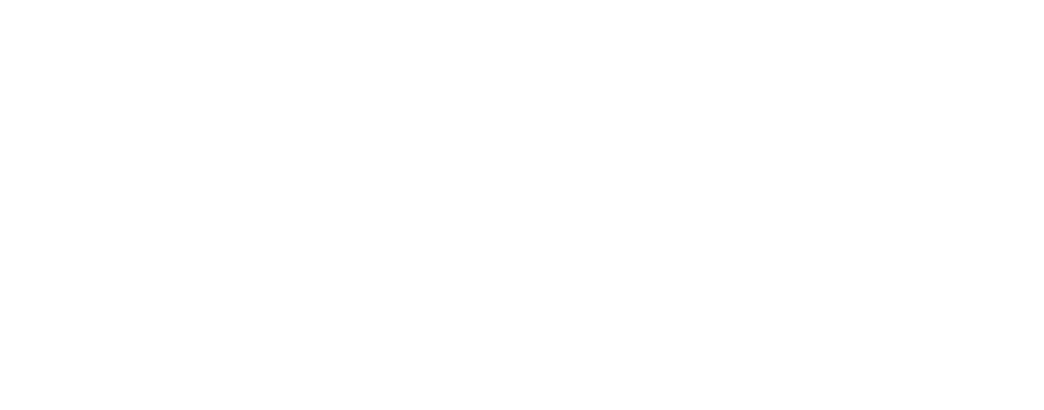 Ant &amp; Dec&#x27;s Limitless Win