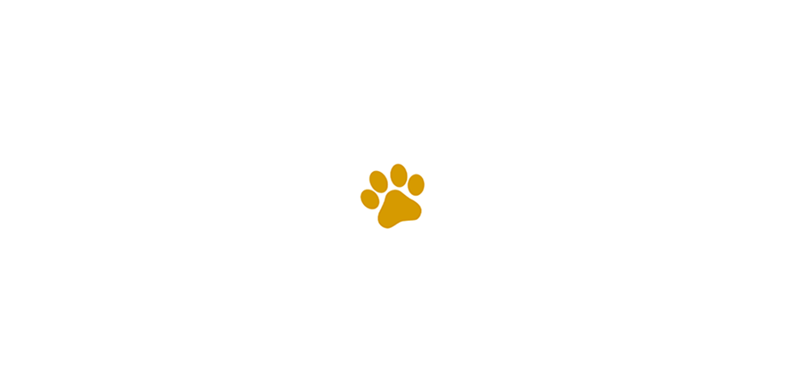 For the Love of Dogs