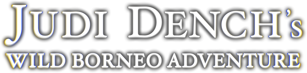 Judi Dench's Wild Borneo Adventure