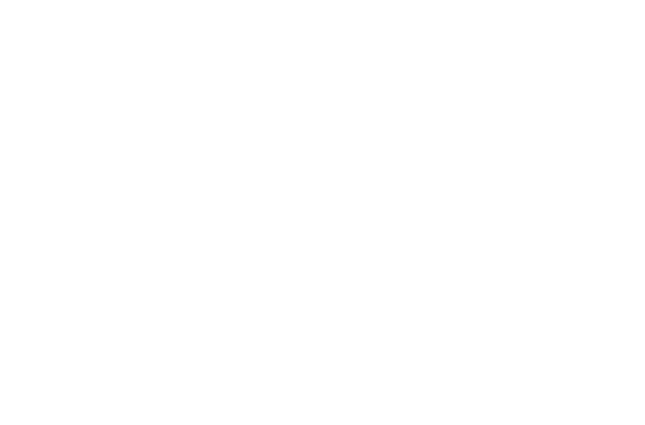 The New Statesman