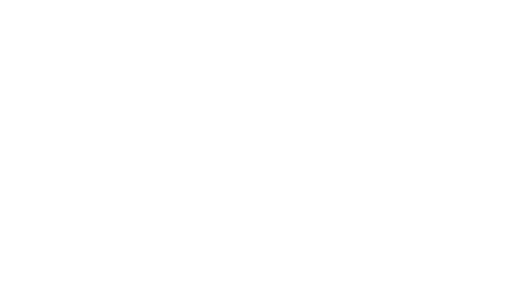 Ian Smith: Half Life